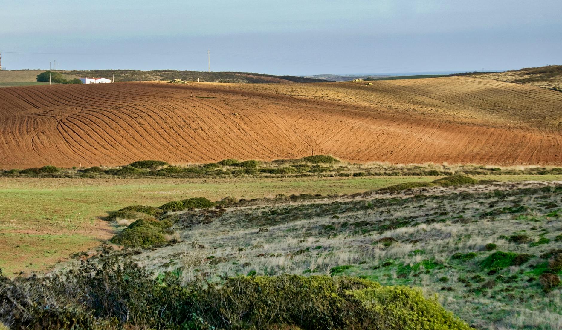 Finca rústica en el interior de España con paisaje seco y vegetación mediterránea
