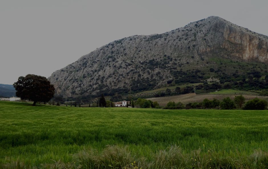 Finca rústica